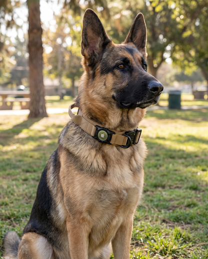 SafetyTags AirTag Dog Collar
