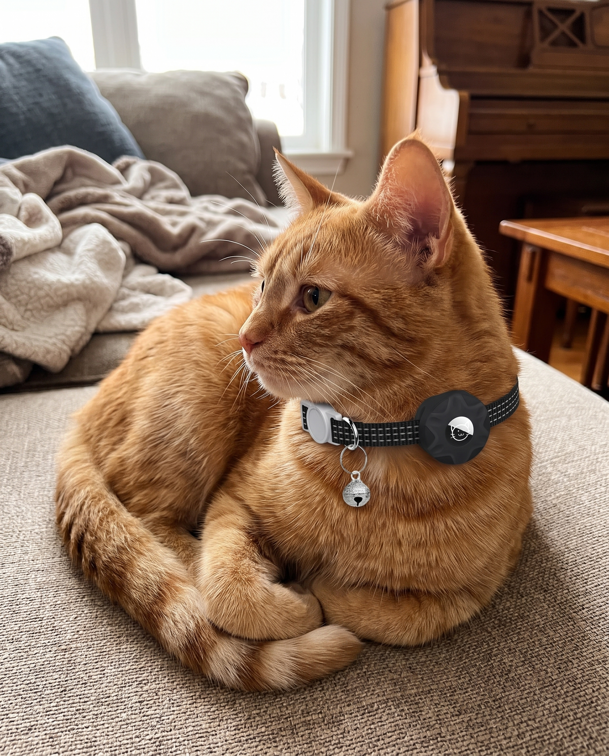 SafetyTags AirTag Cat Collar